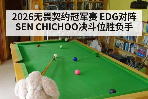 2026无畏契约冠军赛 EDG对阵SEN CHICHOO决斗位胜负手
